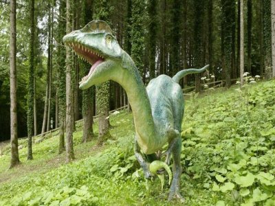 Dino Zoo