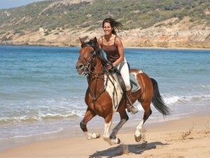 Plage et cheval