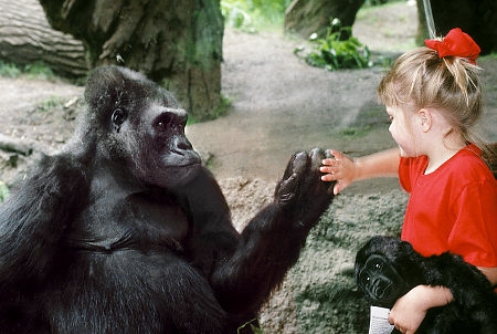 Parc animalier et enfants
