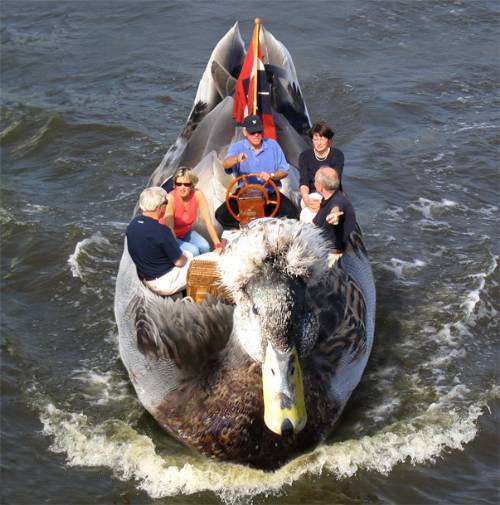 Bateau en forme de canard