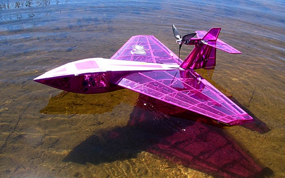 Petit avion rose
