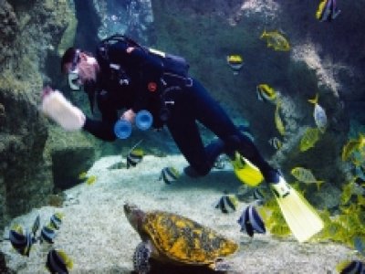 Aquarium La Rochelle