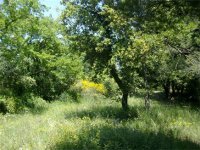  Paisajes de búsqueda del tesoro