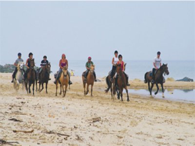 Randonnée à cheval 1 journée plage en Médoc