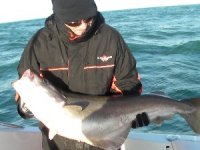  pesca en Vendée 