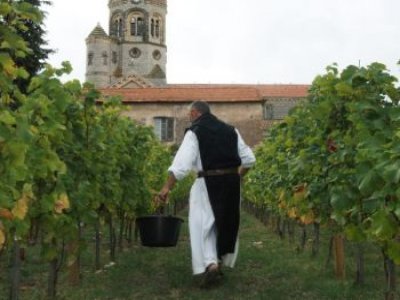 Abbaye de Lérins Tourisme Viticole