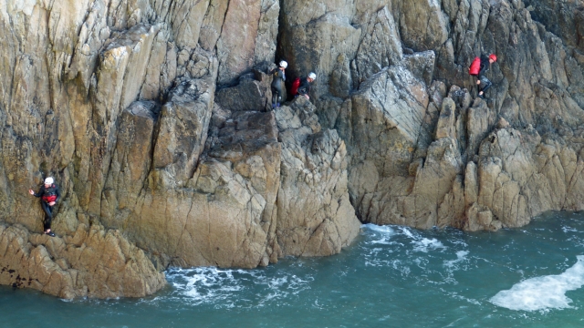 Natation dans l'entrée 