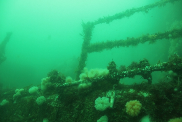 Une partie de la structure du HMS Scylla 
