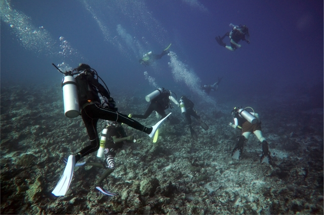 Group Drift Diving 