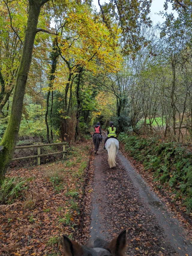 Avis de Niall concernant Promenades à cheval à Portland et à la ferme pour débutants 1h30