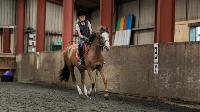 Activités pour les écoles Royaume Uni