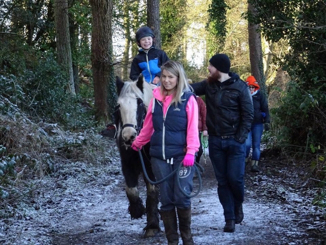 Randonnée à poney pour débutants dans le comté de Down 1h