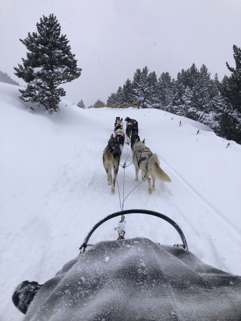 Avis de Monica concernant Mushing à El Tarter 30 minutes