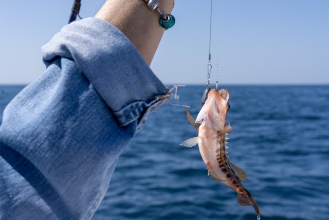  Pêche à Palamos 