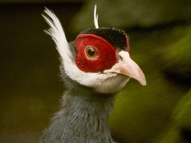 Parcs Zoologiques Espagne