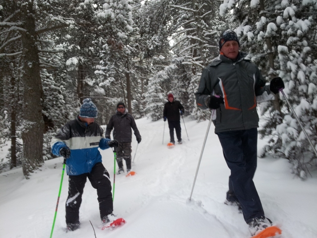 Excursion en raquettes d'une heure à La Molina