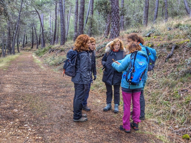 Randonnée dans le Hayedo de Montejo, une journée