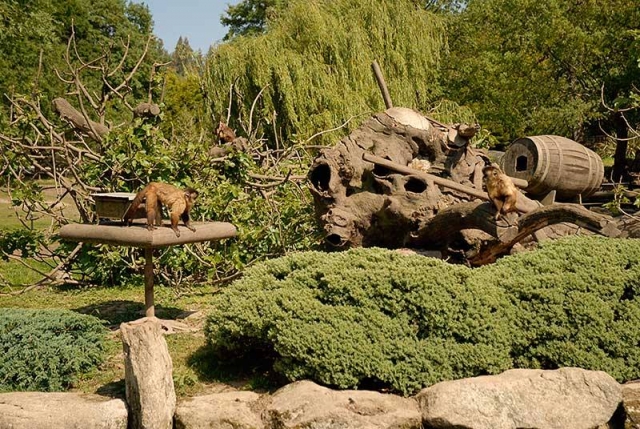 Vue du zoo de Lugo un jour