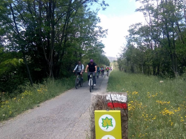 Descente à vélo par la voie verte d'Ojos Negros