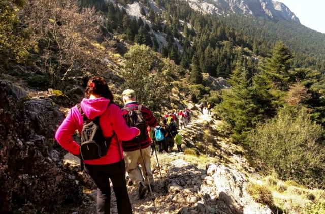 Itinéraire de randonnée El Pinsapar à Grazalema niveau 1