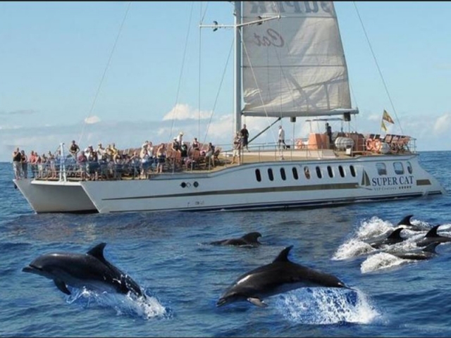 Observation des baleines + bateau banane enfants Mogán