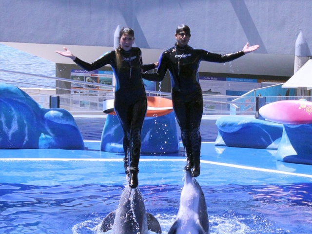 Entrée à l'aquarium de Costa d'en Blanes pour les enfants
