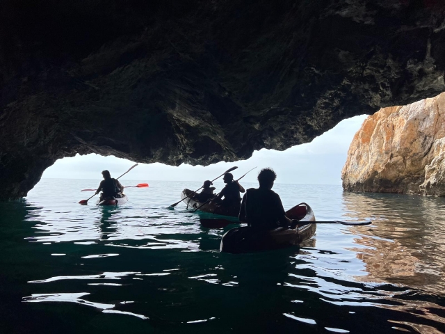 Kayak + route de plongée en apnée dans Maro-Cerro Gordo, 2h30m
