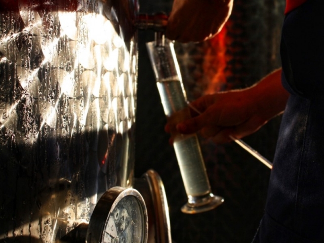Escape room et dégustation de vins à Puigpelat 1 heure