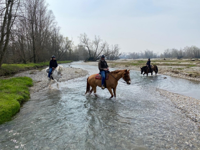 Avis de Giulia concernant Promenade à cheval le long de la rivière Serio pendant 1 heure