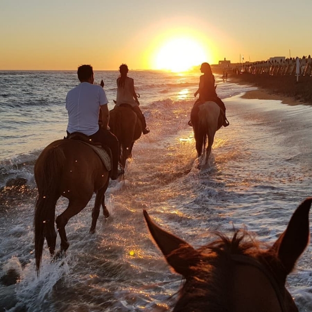 Balade équestre à Castel Fusano 2 heures