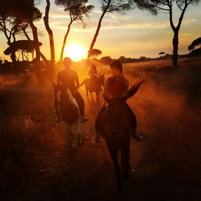 Balade équestre à Castel Fusano 2 H Balade équestre à Castel Fusano 2 H