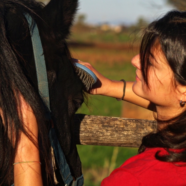 Expérience équestre dans la pinède d'Ostie 3h