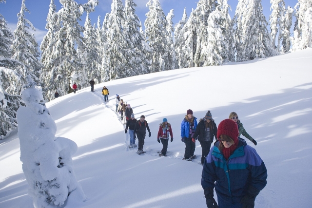 Promenade en raquettes de 2 heures à Bardonecchia