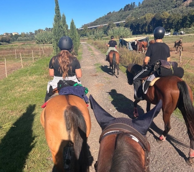 Balades en Poney Italie