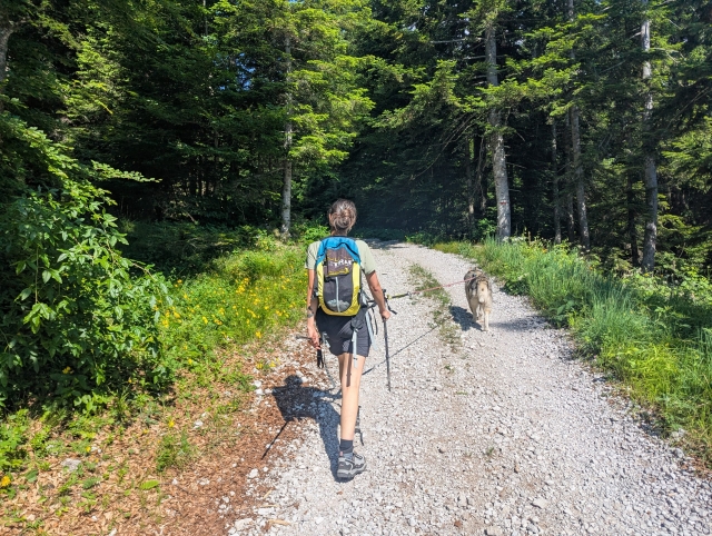 Trekking Dogs in the Brenta Dolomites - 3 heures
