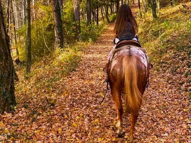 Équitation pour enfants dans la Valle Stura 1h