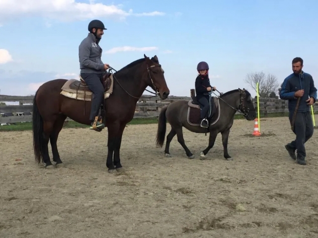 Balade à poney dans les champs à Carignano 50min