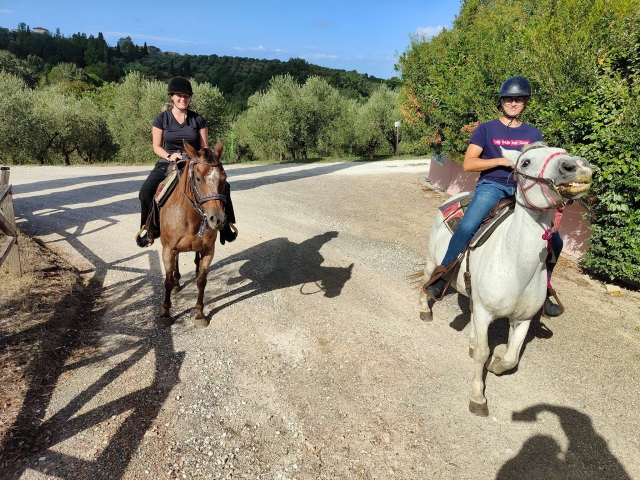 Randonnée équestre 50 min + 10 min théorie à Lari