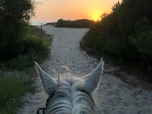 Randonnée à cheval sur la plage d'Arborea au coucher du soleil 1H