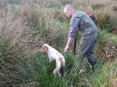 Fédération Départementale des Chasseurs du Finistère