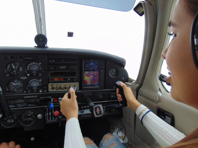 Aux commandes de l'avion 