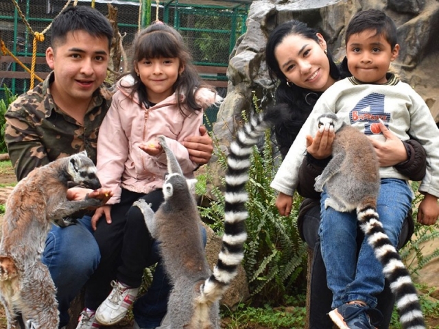 Accès général au zoo de Tlalpan pendant 1 jour