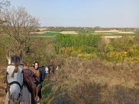 Découverte des paysages de l'Occitanie à cheval 