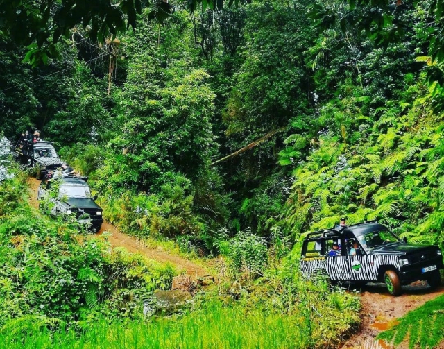 Tour en 4x4 du nord-ouest de Madère (7h) Enfants