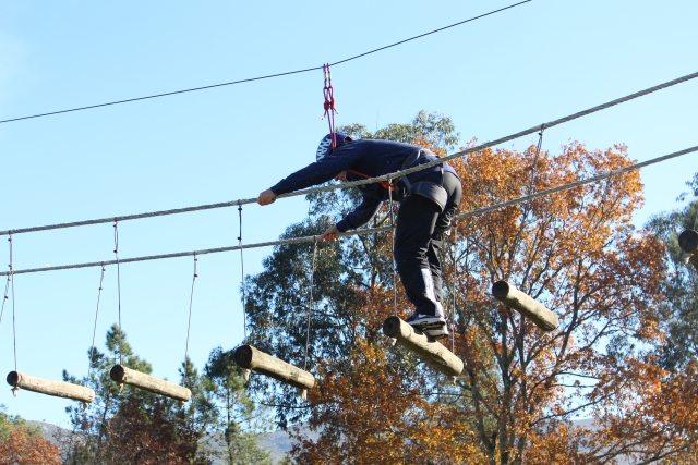 Circuit accrobranche et tyrolienne à Ponte de Lima 90 min