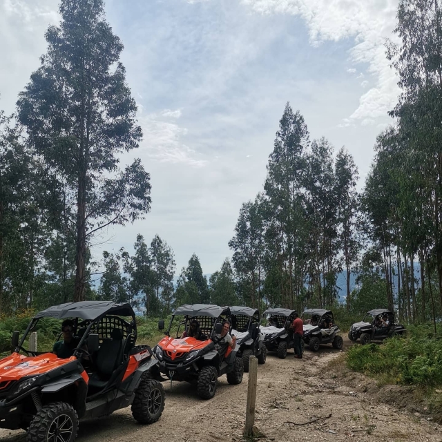 Randonnées en Buggy par destination : 518 prix et offres 2026 | Yumping