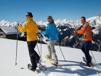  Caminhada com raquetes de neve Massif des Brasses 