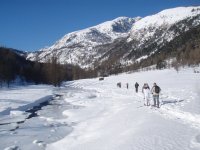  Auf geht's mit Schneeschuhen 