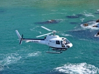  Hubschrauber im Touristenflug in der Nähe von Bordeaux 