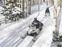 Snow Panthers